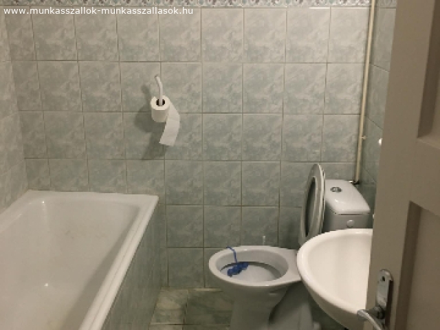 Leander Sziget Szallas 420 2