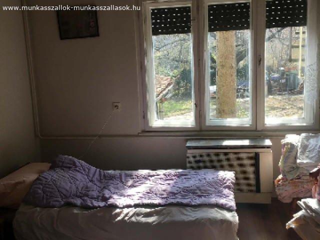 Leander Sziget Szallas 420 4