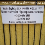 Munkasszallas Dunavarsanyban 1 421 10 T